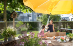 NEBULIZADOR AUTOMATICO CITY GARDENING - Imagen 8